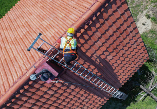 Best Roof Moss and Algae Removal  in Eton, GA